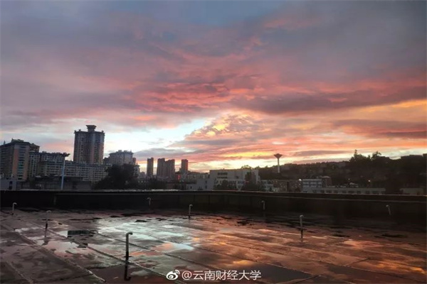 骑行热催生消费新商机