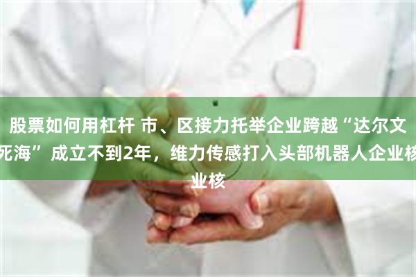 股票如何用杠杆 市、区接力托举企业跨越“达尔文死海” 成立不到2年，维力传感打入头部机器人企业核