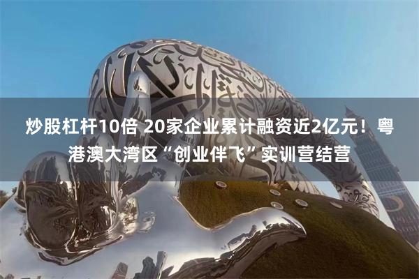 炒股杠杆10倍 20家企业累计融资近2亿元！粤港澳大湾区“创业伴飞”实训营结营