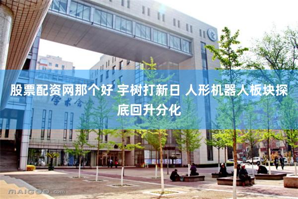 股票配资网那个好 宇树打新日 人形机器人板块探底回升分化