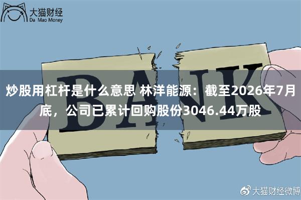 炒股用杠杆是什么意思 林洋能源：截至2026年7月底，公司已累计回购股份3046.44万股