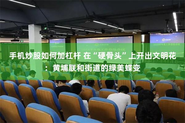 手机炒股如何加杠杆 在“硬骨头”上开出文明花：黄埔联和街道的绿美蝶变