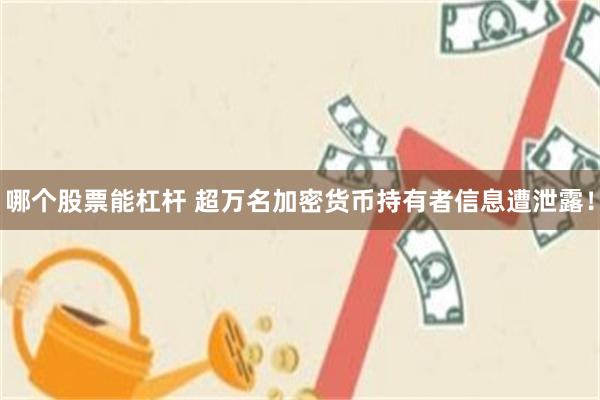哪个股票能杠杆 超万名加密货币持有者信息遭泄露！